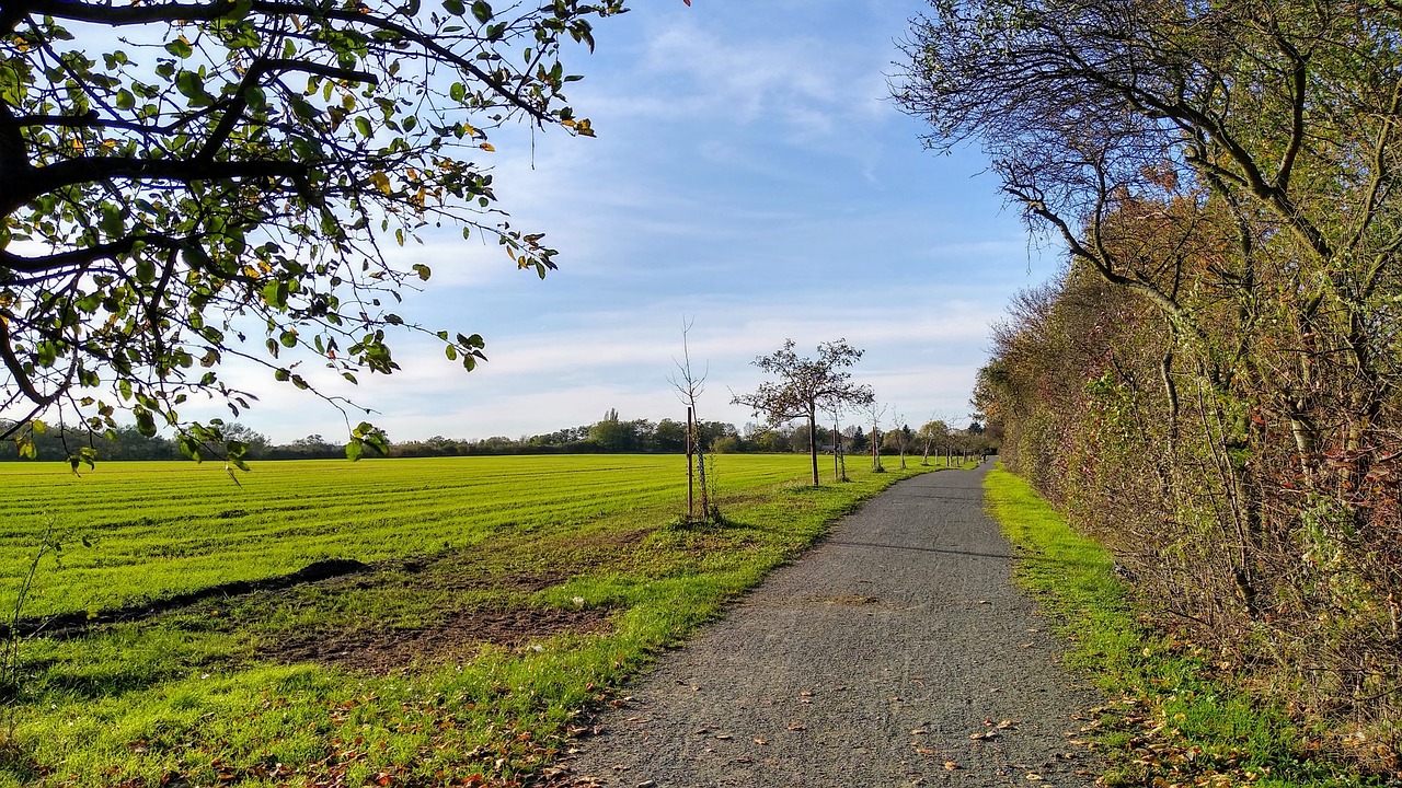 Berlin Weißensee Karow - Blick auf Wanderweg