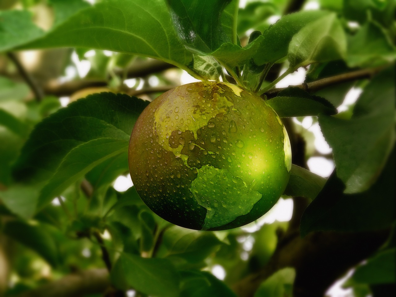 Nachhaltigkeit - Erde als Frucht an Baum