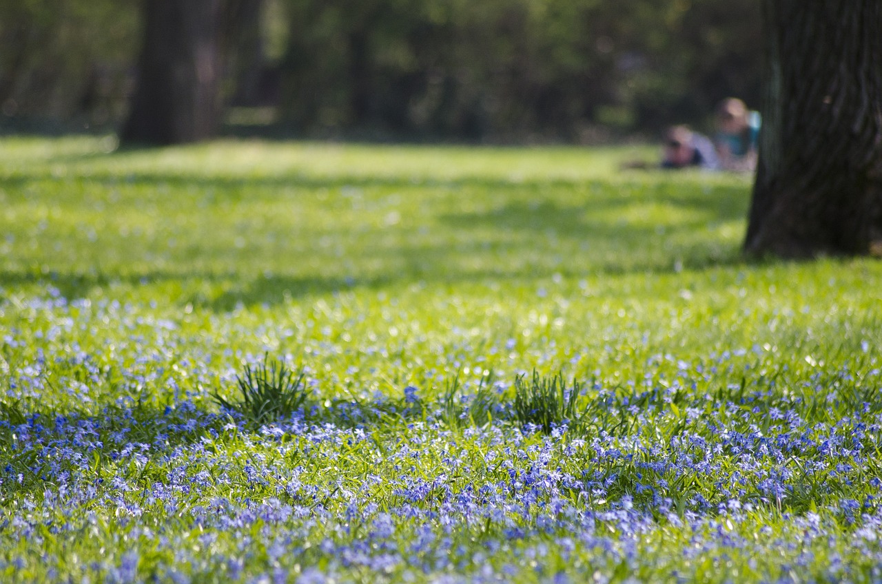 Natur: Park